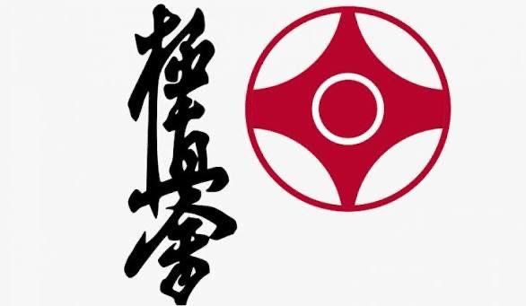 Ученик 6 «Б» класса Ним Тимур занял первое место по Кёкушинкаи каратэ!